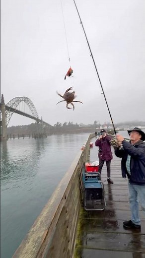 How to use a crab snare Newport Oregon #crabbing #fishing #fishingtips #fishingtutorial #crab #crab