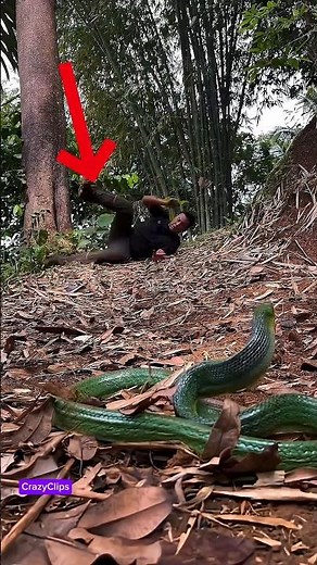 Wow 🤩? Magnificent!