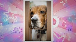 Flawless Foundation: Unveiling the Mystery of Separation on Your Nose