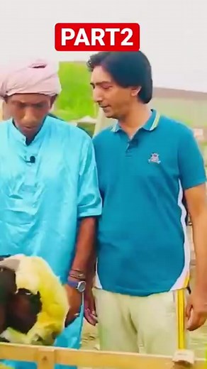Saleem Albela and Goga pasroori funny act 😂🤣 # | Albela official