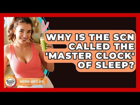 Why Is The SCN Called The 'master Clock' Of Sleep? - Morning Habits Hub