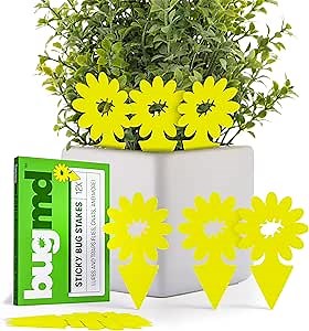 BugMD Sticky Bug Traps (12 Pack) - Indoor Fruit Fly Killer, Fungus Gnat Killer, Plant sticky traps for Bugs, Yellow Sticky Fly Traps for Plants, Gnat for Plants, Odorless