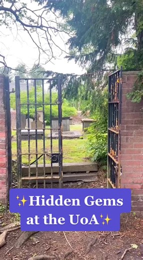 Discover the Hidden Snow Kirk at UoA
