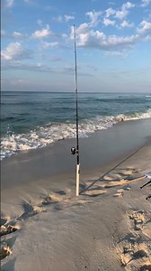 Surf fishing perdido keys #fishing #surffishing