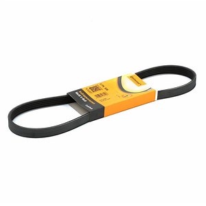 5PK836 CONTITECH 5 PK 834 Serpentine belt 836mm, 5 | AUTODOC price and review