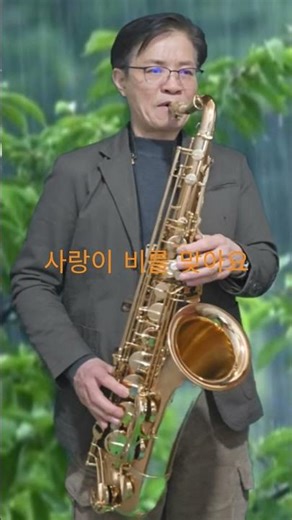 사랑이 비를 맞아요(Tenor saxophone cover)