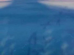 There is Life (English)