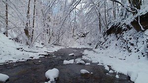 Aerial View Magical Winter Landscape Crystal Stock Footage Video (100% Royalty-free) 1081063040 | Shutterstock