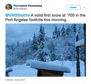 Snow falls on Seattle in early season cold snap