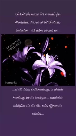 smuc82 (@smuc82)’s videos with Originalton - smuc82