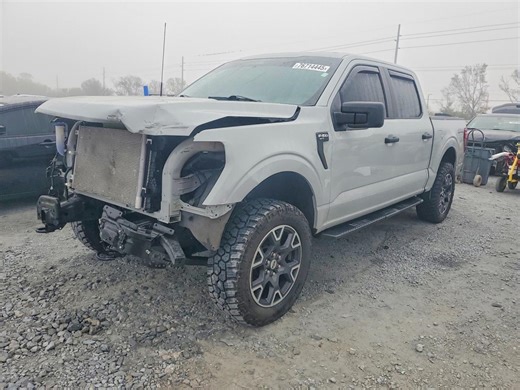 VIN: 1FTFW2L59RKD56668 | FORD F150 STX 2024 F150 SILVER 5.0L  8 free car history - Stat.vin