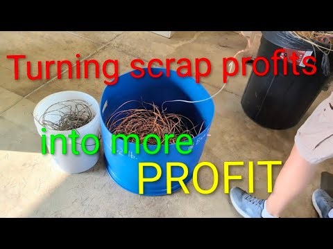 Maximizing Shred Profits