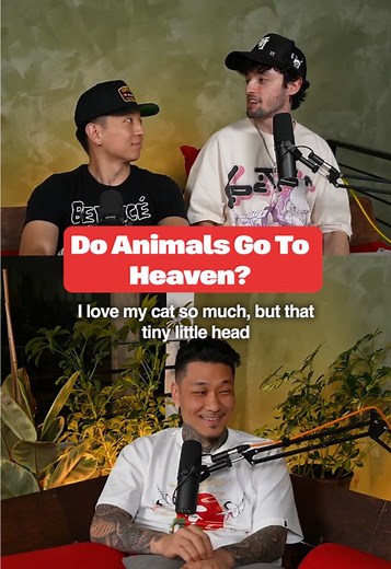 La fe y los animales: ¿van al cielo?