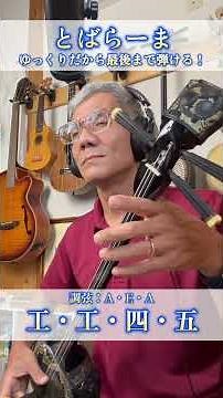 ゆっくりだから歌える！とばらーま #三線初心者 #沖縄民謡 #大人初心者 #沖縄 #とばらーま #八重山古典民謡 #八重山民謡