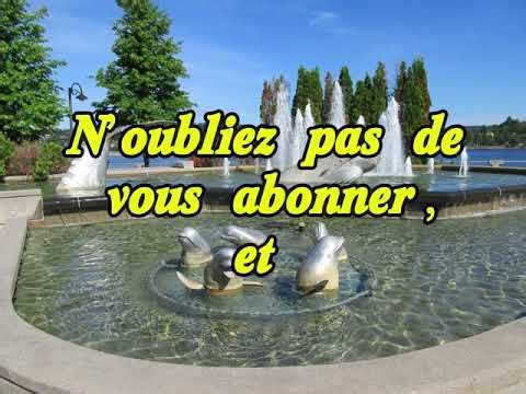 Chicoutimi des lieux incontournables à visiter Absolument!!🥰🐿️🌳🌿