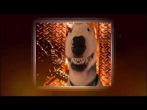 Connection Terminated