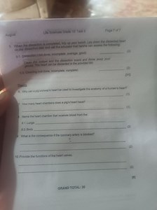 Life Sciences Grade 10: Task 5AugustWhen the dissection is ... | Filo