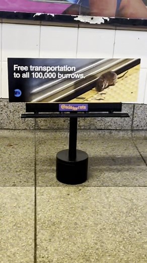 1K views | They're like regular billboards, but small and for rats. All over New York City, miniature billboards are comically reimagining real products...for rodents. | The Commercial Appeal | Facebook