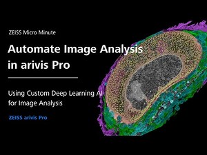 Automate Image Analysis using Pre-Trained Deep Learning AI | arivis Pro| ZMCC Live Demo | Episode 21