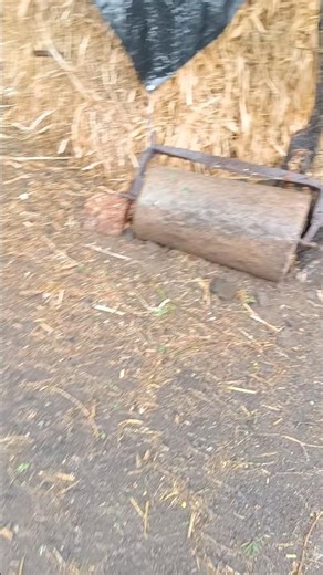 जनावरांचे चार नियोजन पप्या 😜l#farming #hiphop #freestyle #shortvideo #minivlog #liked #gavchimajja