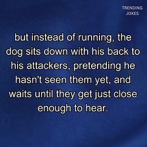 Trending Jokes on Reels