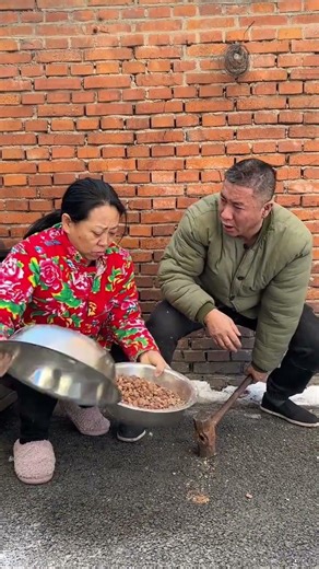 Exploding Hazelnuts: The Thin-Skinned Delight of Nature