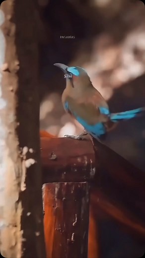 Tu hogar en la selva con cenote privado: Ciudad Mayakoba te espera 🌿 Imagina despertar en un paraíso rodeado de naturaleza, con un cenote privado en tu propio hogar. Esta casa en Ciudad Mayakoba lo tiene todo: lujo, tranquilidad y un entorno único en la Riviera Maya. ¡No dejes pasar la oportunidad de vivir en un lugar mágico! ✨🏡 📍 Ubicación privilegiada 💧 Cenote privado 🌱 Rodeado de naturaleza 🔗 Contáctanos para más información. #realestate #ciudadmayakoba #rivieramaya #casaslujosas #cenot