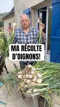 Ma récolte d'oignons ! #jardin #jardinage #potager #recolte #oignon #legume