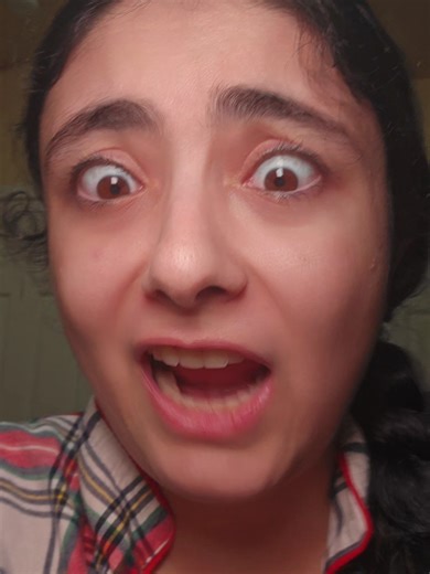 Pingo's Language Learning Journey with Me