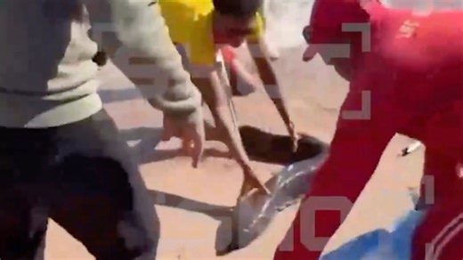 Tourist hospitalised after being attacked by huge EEL on Brit holiday beach