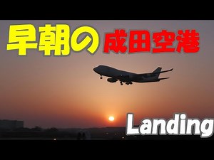【早朝の成田空港の着陸シーン】2022.03.12撮影 成田国際空港 NARITA Airport 着陸 Landing ♯成田空港 ♯飛行機