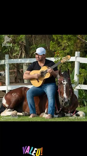 Captivating Horse Interactions with Humans