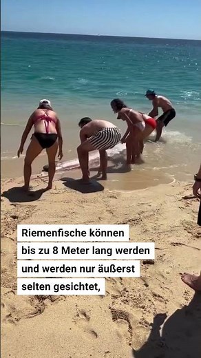 Rare deep-sea creature washed ashore