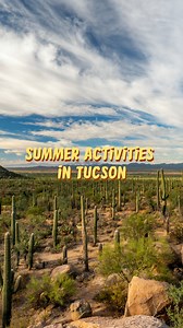 21K views · 309 reactions | Ready for the ultimate Tucson summer? ☀️ Save this reel and start planning your perfect getaway! Find your next adventure: https://bit.ly/3GsqloH | Visit Tucson | Facebook