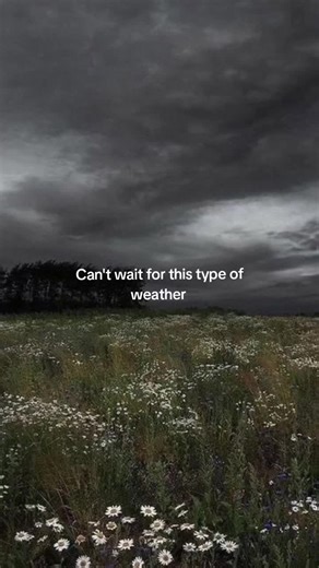 Experience the Calm Before the Storm