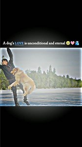 entertainment movie dog scene#entertainment #entertainmentmovie#dog #akshaykumar