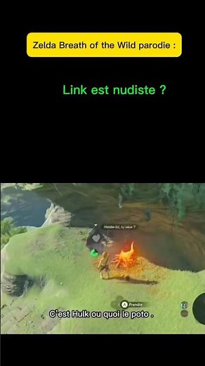Zelda Breath of the Wild parodie : Link est nudiste ? #zelda #botw #humour #shorts
