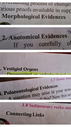 10th science 2 heredity and evolution chapter notes 📝