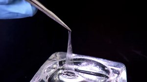 Slime Clothes | NOVA