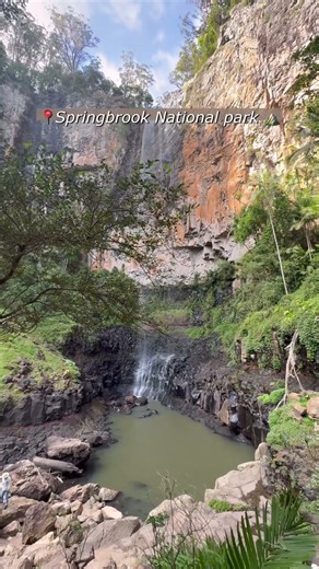 #springbrooknationalpark #스프링브룩 #브리즈번 #lifeinbrisbane #소소한일상 #brisbane