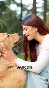 Dog Gut Health The Truth about Perfectly Balanced Dog Food Part 3 of 7