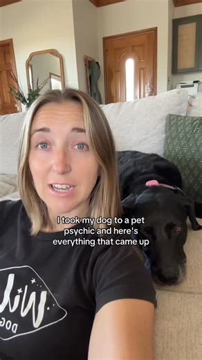 732K views · 8.2K reactions | My experience with a pet psychic! | Wild Dogs | Facebook