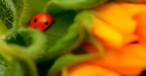 Video by  Zuzanna M. on Pexels