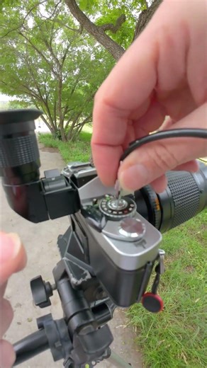 HP5 + Pushed 3 Stops 500mm Lens