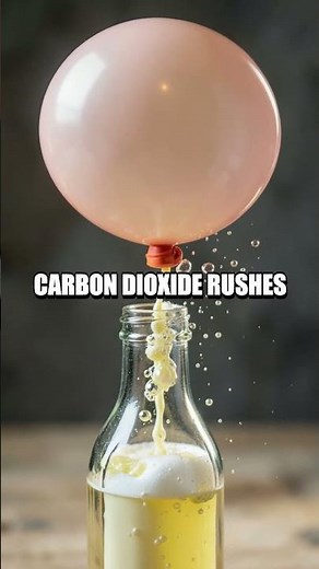 Everyday Lab: Five Fun At-Home Experiments You Can Try