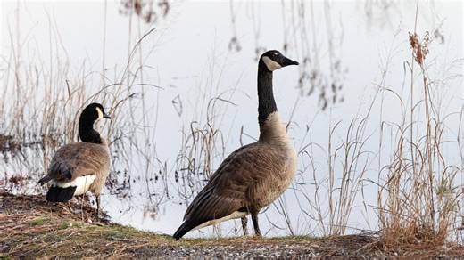 Spring ahead the clocks, and here comes spring weather at Jersey Shore