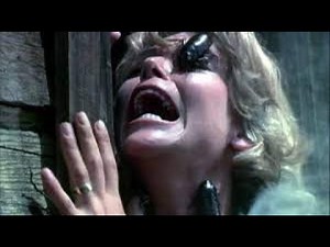 BUG Movie Review (1975) Schlockmeisters #1489