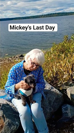 Mickey’s Last Day With Her #shorts #spring #story #doglife