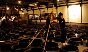 Shochu Tasting, Distillery Tour