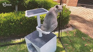 Introducing the Skywalks Outdoor Cat Tree - A weatherproof cat tree ideal for the outdoors. The new Skywalks Outdoor Cat Tree is a great addition to your outdoor cat playground. Made from powder coated steel, it offers a weatherproof solution that your cat will love 😻 Check it out here: https://catnets.com.au/products/skywalks-outdoor-cat-tree | catnets.com.au